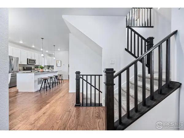 5637 Stone Fly, Timnath, CO 80547
