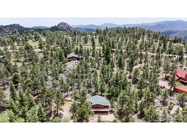 85 Mount Guero, Livermore, CO 80536