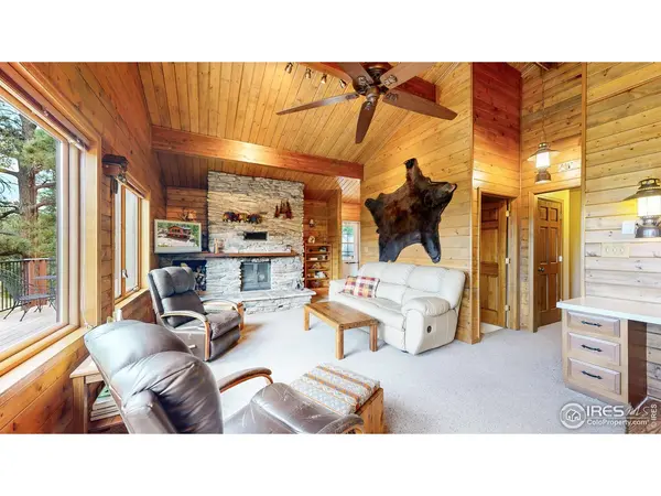 85 Mount Guero, Livermore, CO 80536