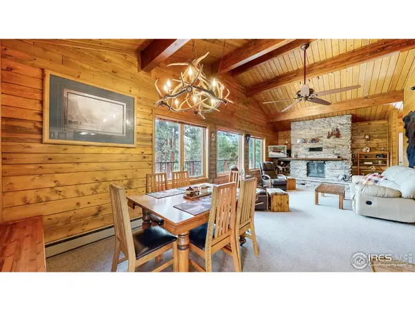 85 Mount Guero, Livermore, CO 80536