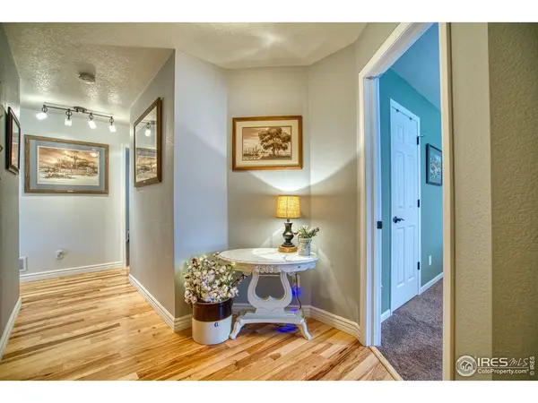 7073 Mount Nimbus, Wellington, CO 80549