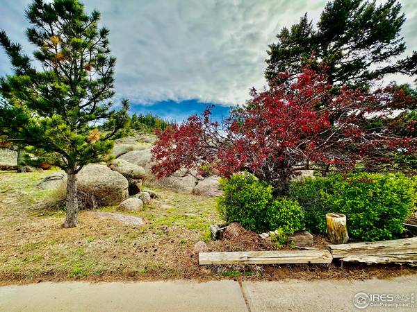 2004 Bonner Springs Ranch, Laporte, CO 80535