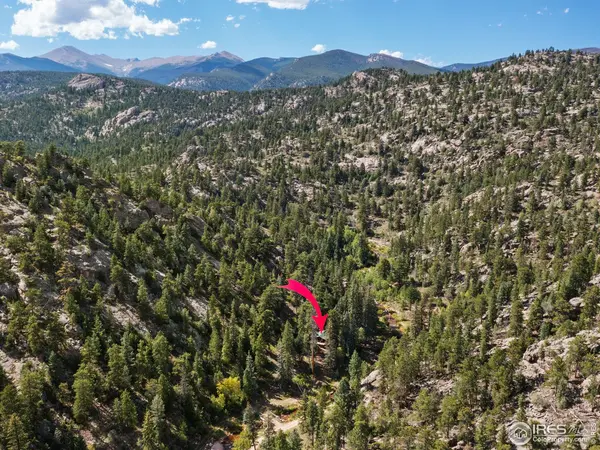 424 West Creek, Glen Haven, CO 80532