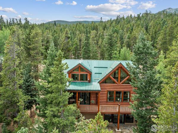 287 S Skinner, Allenspark, CO 80510
