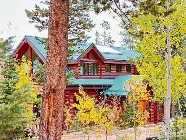 287 S Skinner, Allenspark, CO 80510