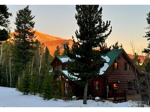 287 S Skinner, Allenspark, CO 80510
