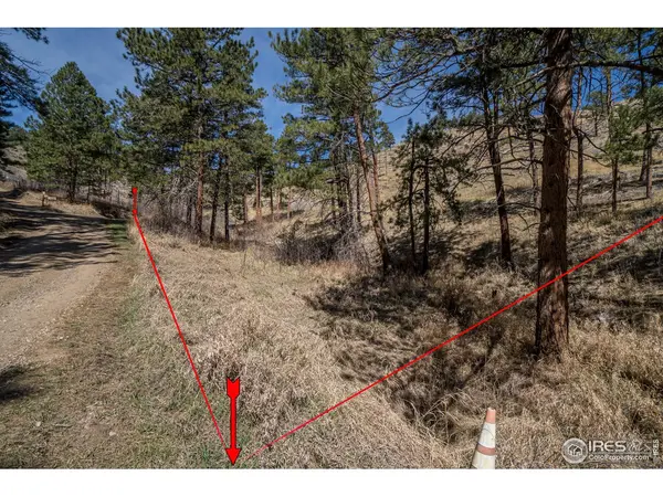 155 Wild Turkey, Drake, CO 80515