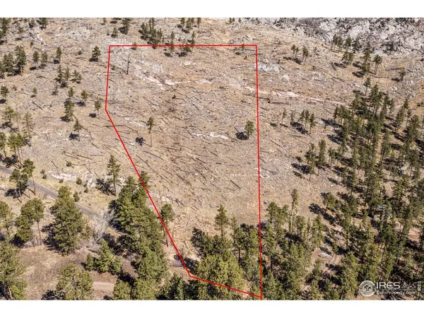 155 Wild Turkey, Drake, CO 80515