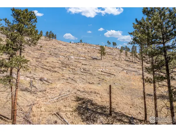 155 Wild Turkey, Drake, CO 80515