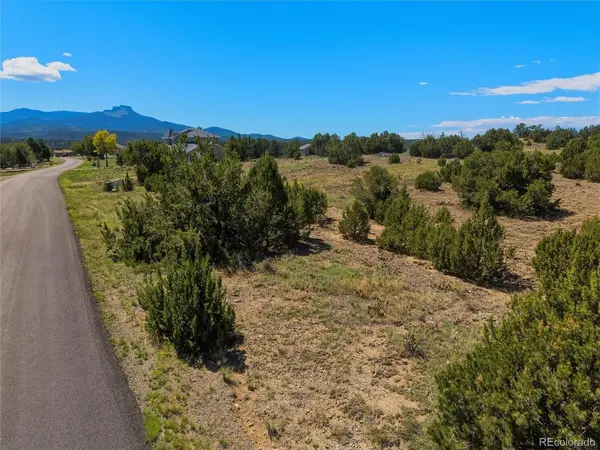 7 Tyson Ct, Trinidad, CO 81082