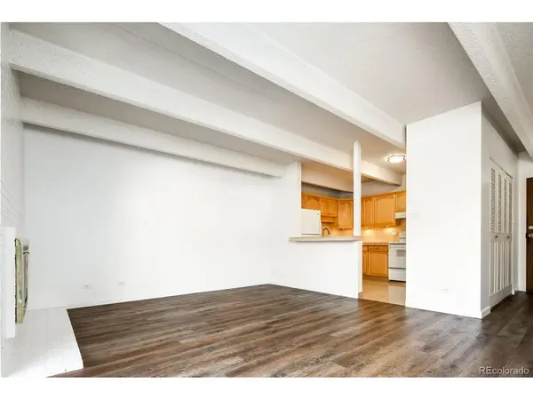 555 E 10th #107, Denver, CO 80203