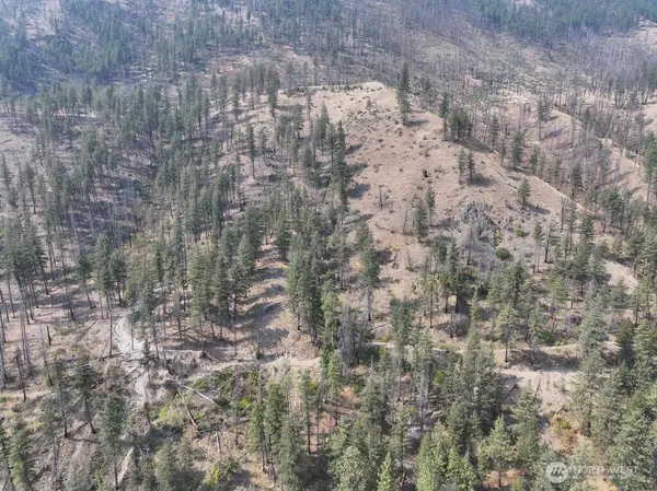 0 Gold Creek Loop RD, Carlton, WA 98814