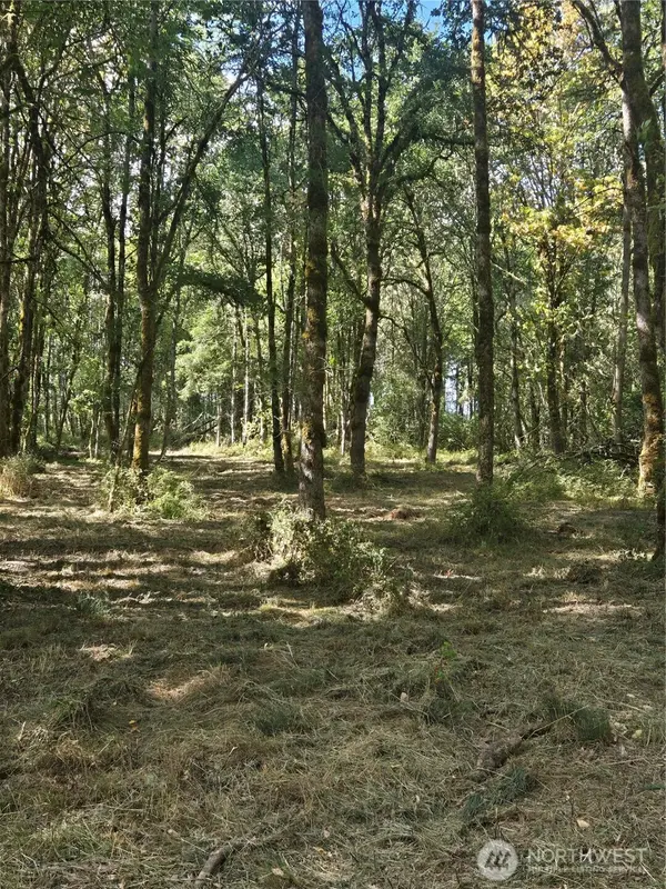 144 Dowling RD, Toledo, WA 98591