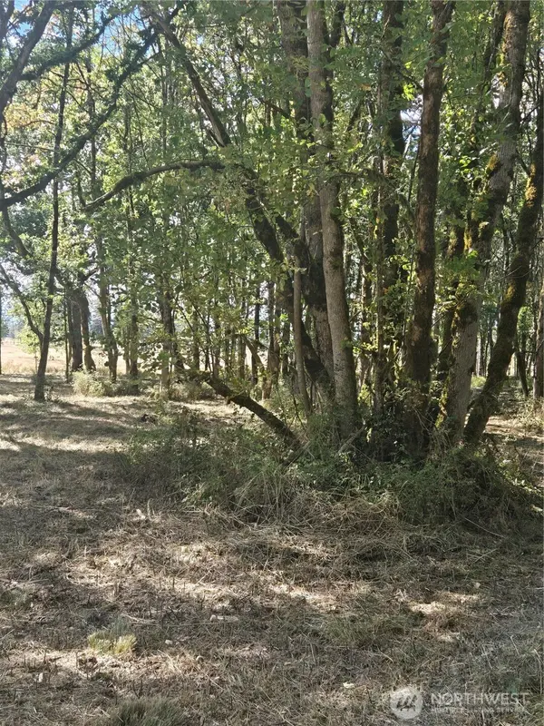 144 Dowling RD, Toledo, WA 98591