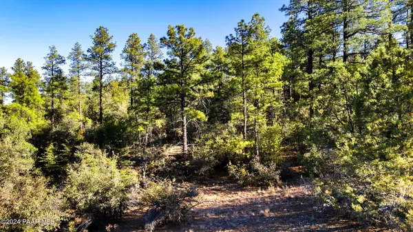 1101 White Spar RD, Prescott, AZ 86303