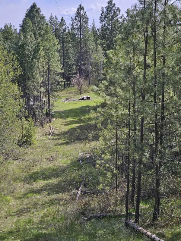 4464 Woods Way Rd, Springdale, WA 99173