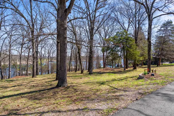 Lot 6 Silverbell Lane, Kimberling City, MO 65686