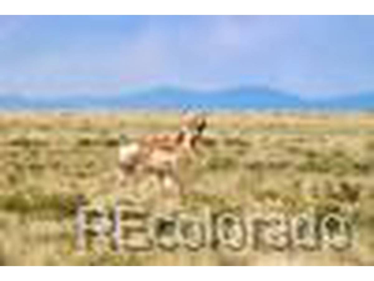 High Plains Road, Capulin, CO 81124