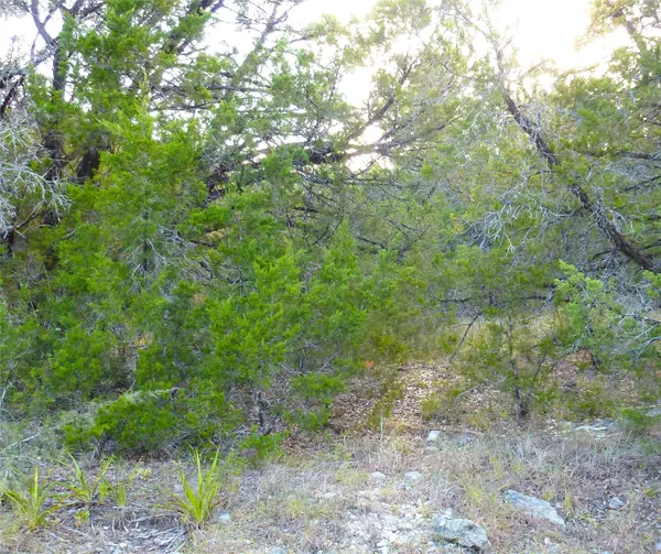 6302 Deer Run, Lago Vista, TX 78645