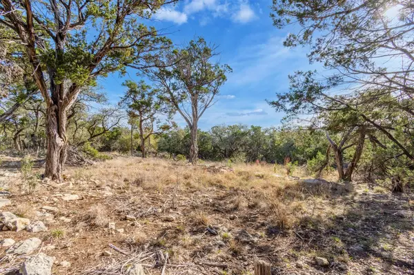 196 Lakewood CT,  Canyon Lake,  TX 78133