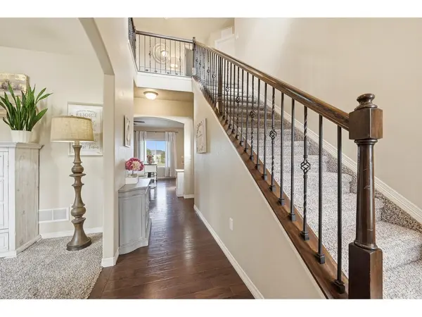 671 Vermilion Peak, Windsor, CO 80550