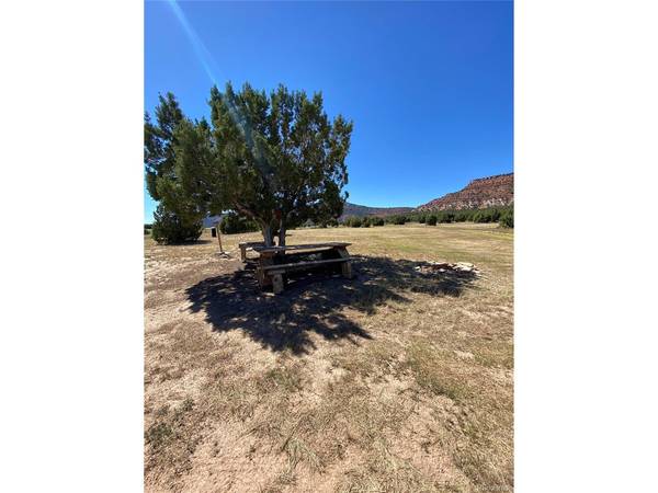 Address not disclosed, Dinosaur, CO 81610