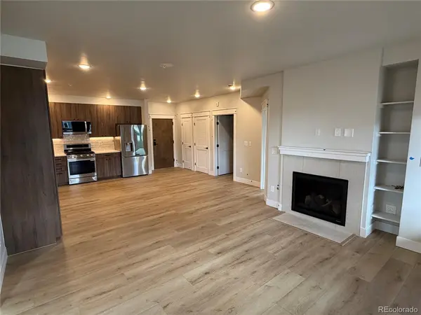 309 Grand Review #101, Leadville, CO 80461