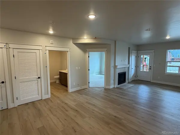 309 Grand Review #101, Leadville, CO 80461