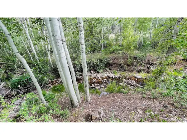 519 Tixier Ramirez, Antonito, CO 81120