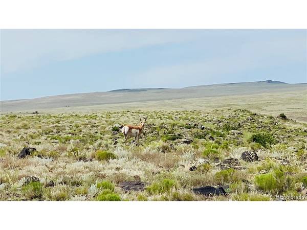 Blk 8 Lot 14, Capulin, CO 81124