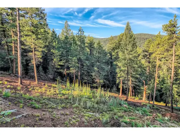 5289 S Algonquin,  Indian Hills,  CO 80454