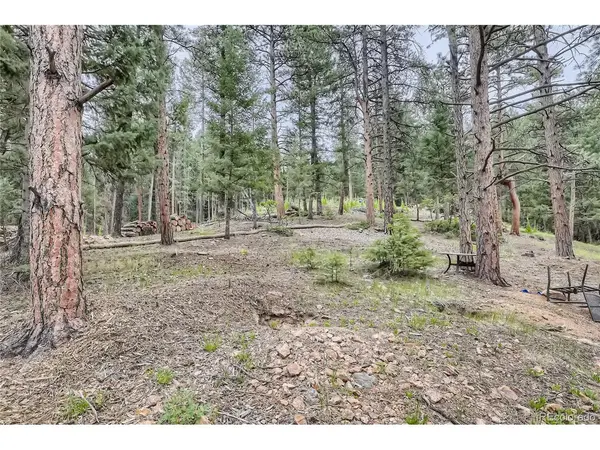 5289 S Algonquin, Indian Hills, CO 80454