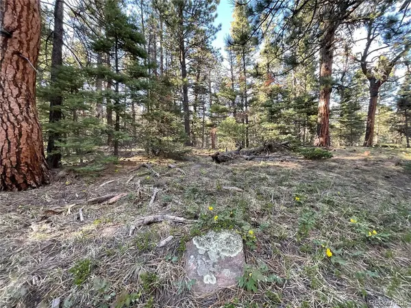 County Road 401, Cuchara, CO 81055