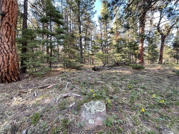 County Road 401, Cuchara, CO 81055