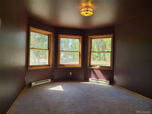 757 Thompson Park, Fairplay, CO 80440