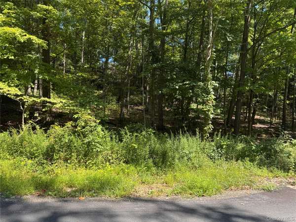 17 Vanessa LN, Staatsburg, NY 12580