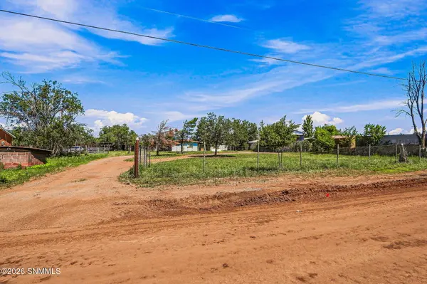 133 Arenas Valley RD, Arenas Valley, NM 88022