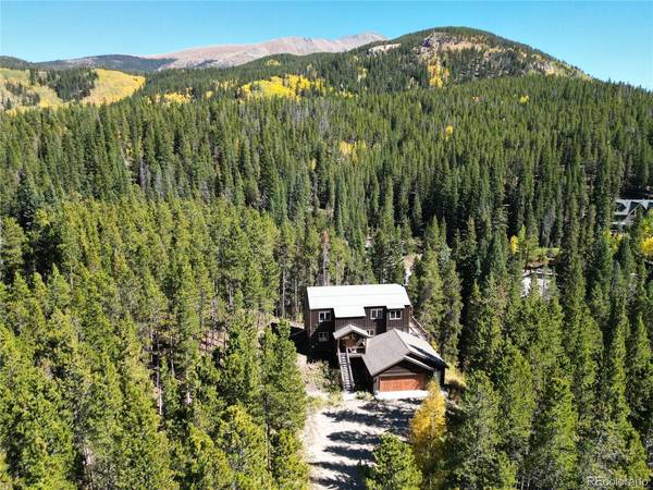 174 Blue Flag,  Breckenridge,  CO 80424