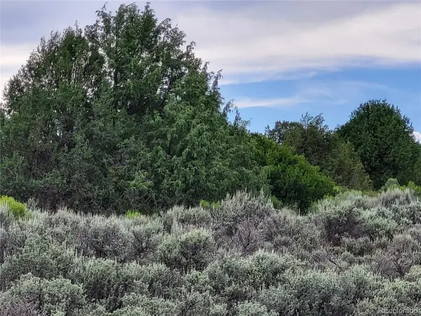 US Hwy 17, Antonito, CO 81120