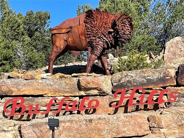 15620 Buffalo Meadows, Buena Vista, CO 81211