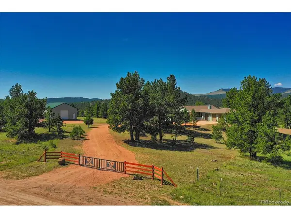 7051 County Rd 71,  Guffey,  CO 80820
