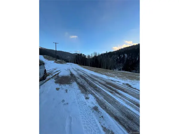 9 Bon Blk, Bonanza, CO 81155