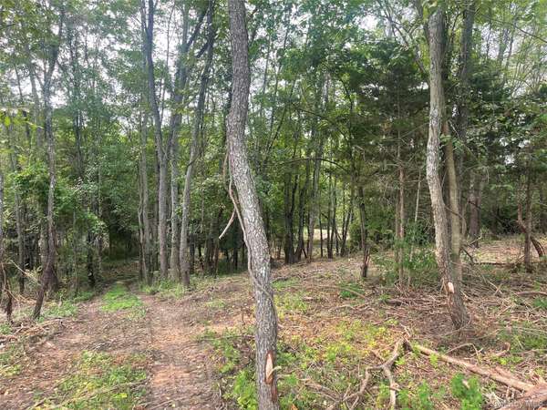 Bells Pond RD, Hudson, NY 12541