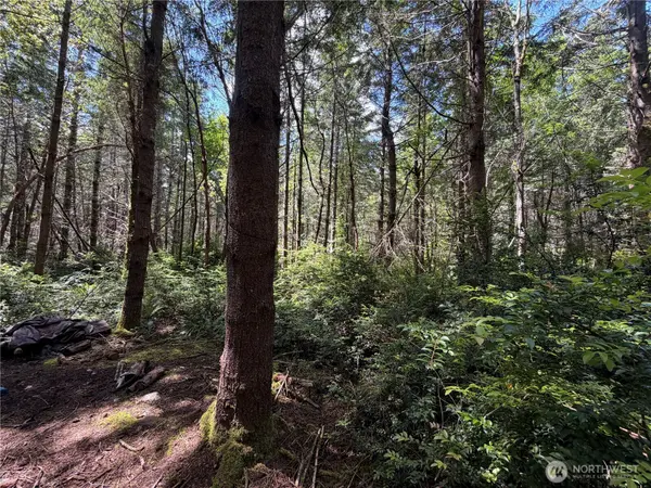 178 Geoduck DR, Quilcene, WA 98376