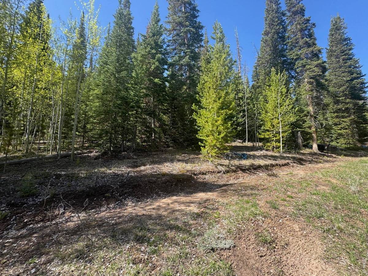 44 Wilderness, Walden, CO 80480