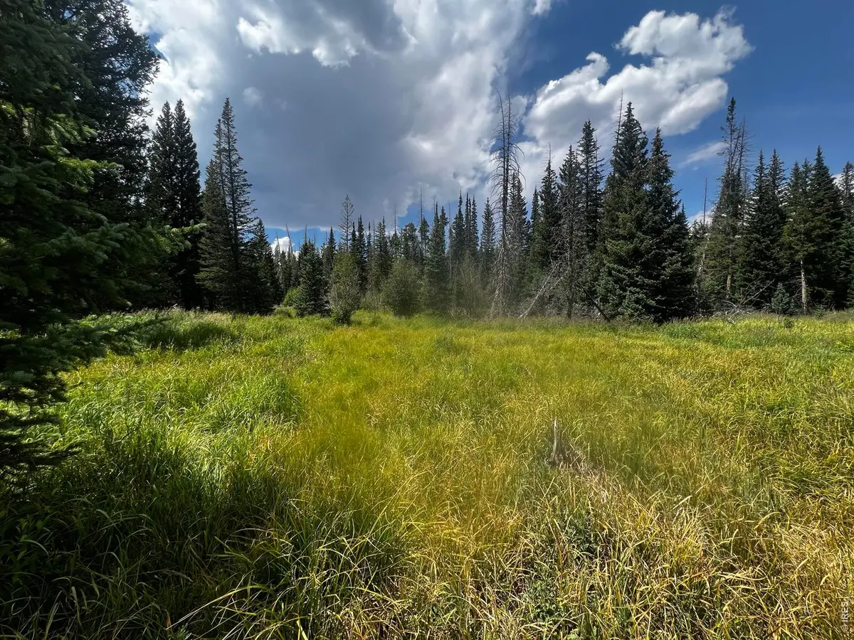 0 Forest Service #169, Red Feather Lakes, CO 80545