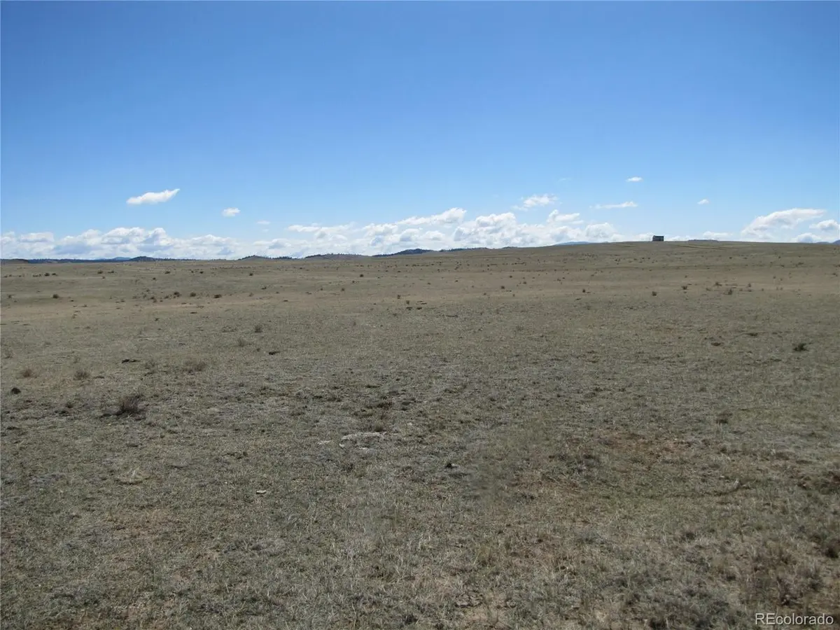 1642 Wasatch, Hartsel, CO 80449