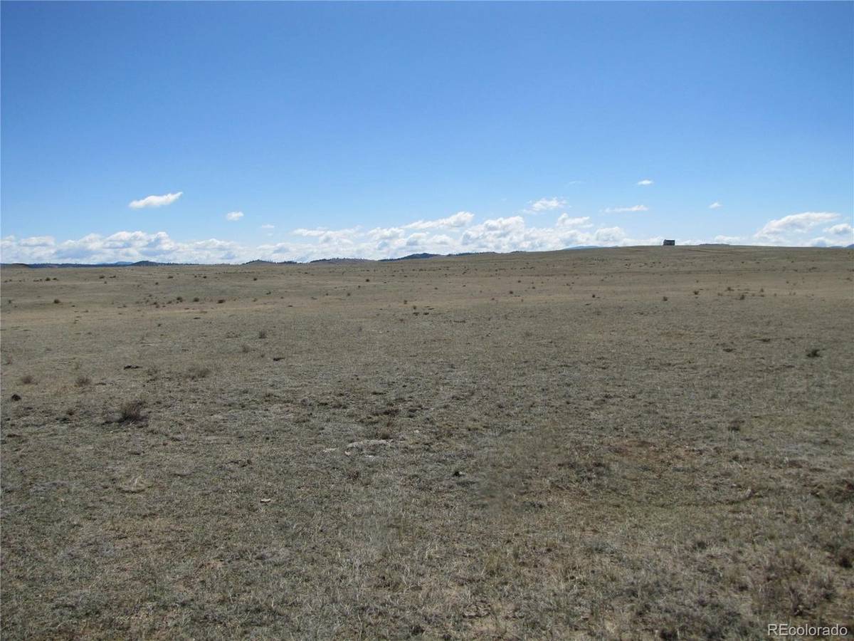 1642 Wasatch, Hartsel, CO 80449