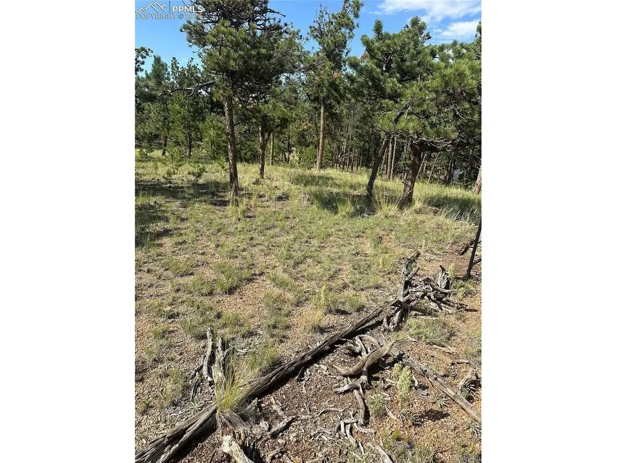 315 Thunder Ridge, Florissant, CO 80816