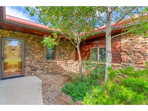 76 Rocky Vista, Livermore, CO 80536